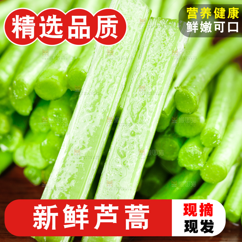木底上的江西藜蒿