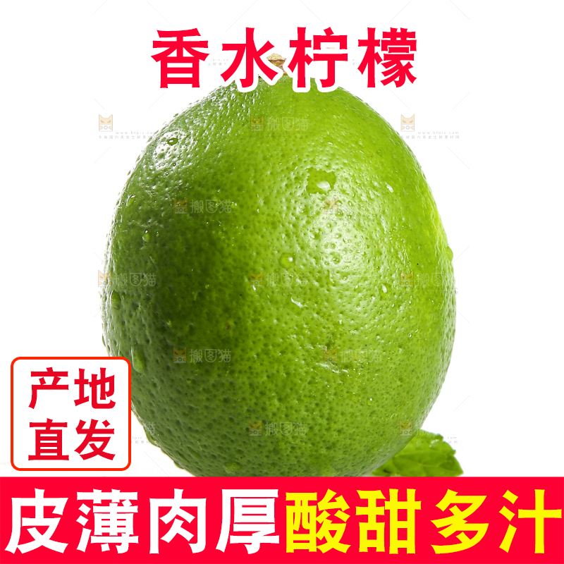 白底上的无籽香水柠檬