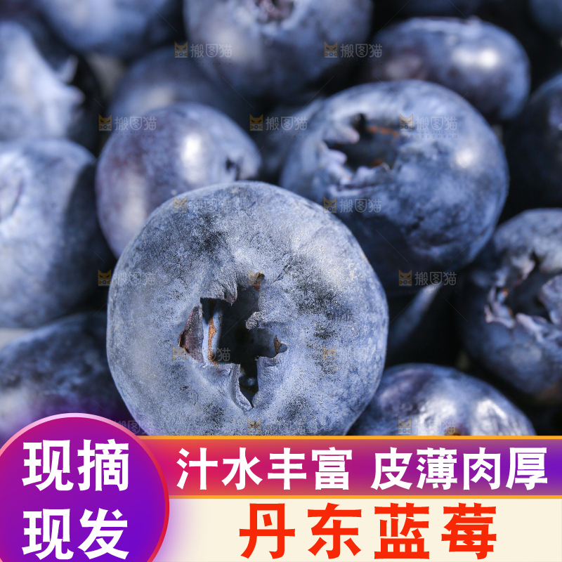 浅底上的新鲜蓝莓