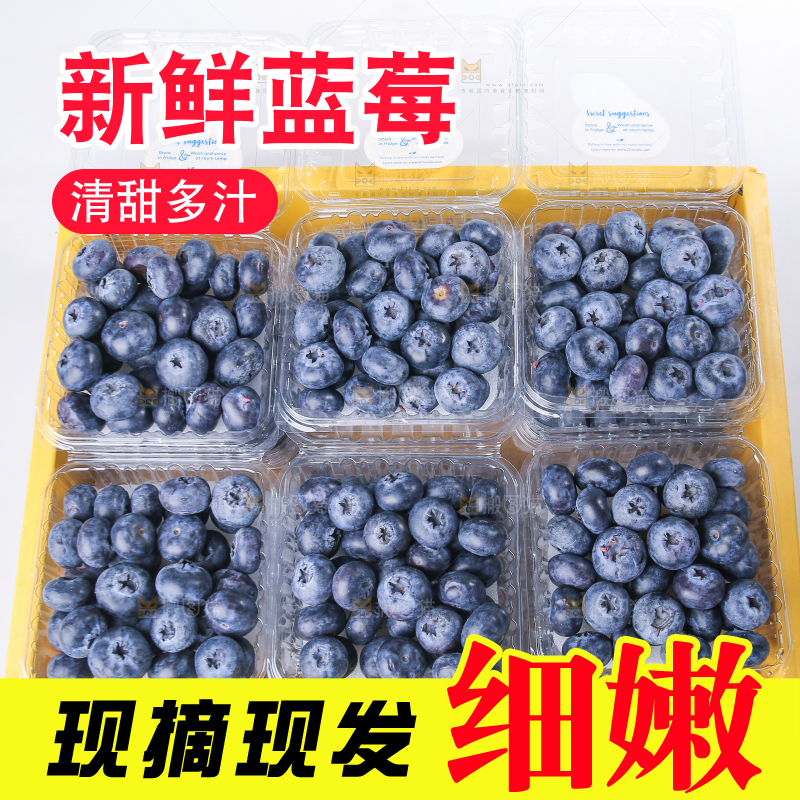 白底上放着的新鲜蓝莓