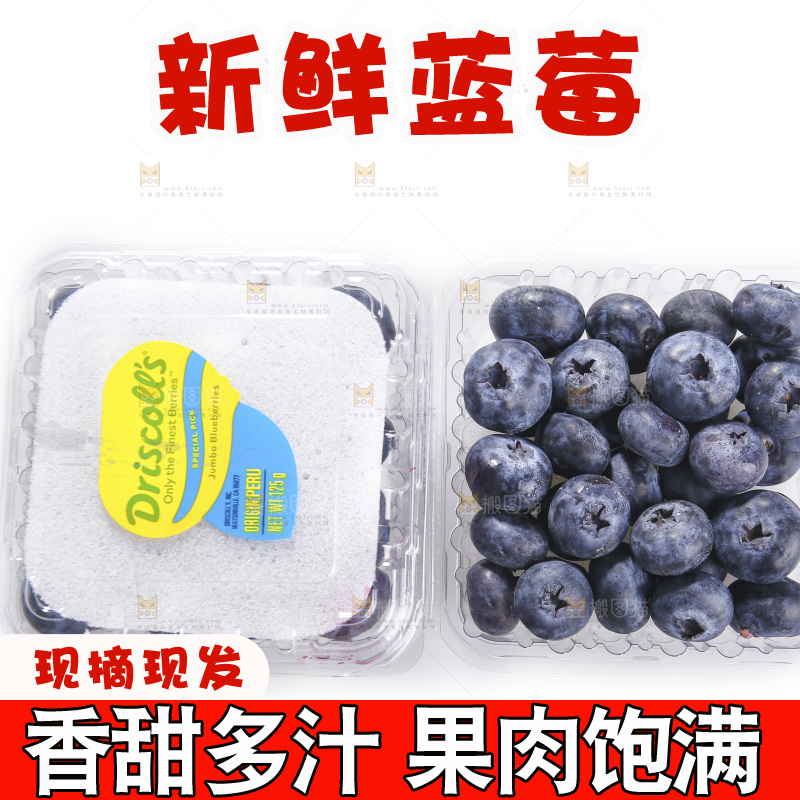 白底上放着的新鲜蓝莓