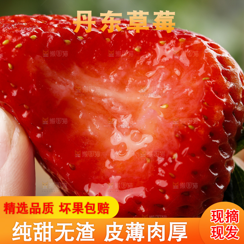 深底上的丹东草莓