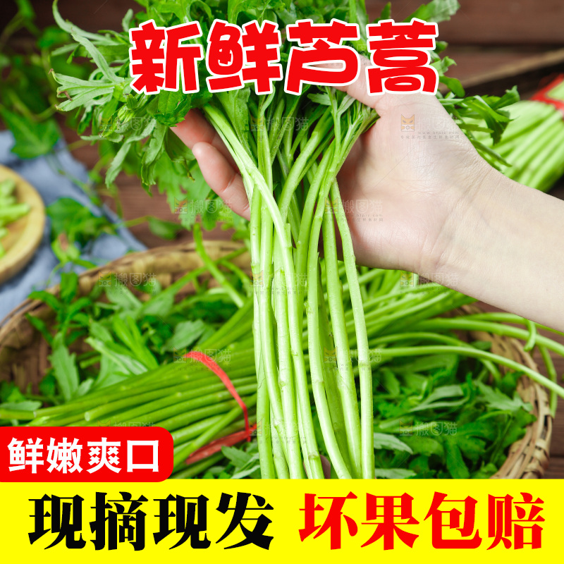 木底上的江西藜蒿