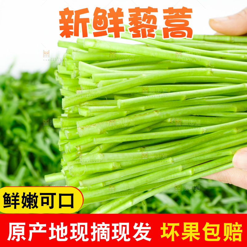 白底上放着藜蒿