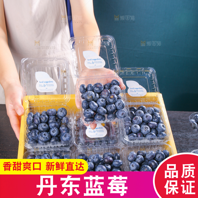 黑底上摆着的新鲜蓝莓