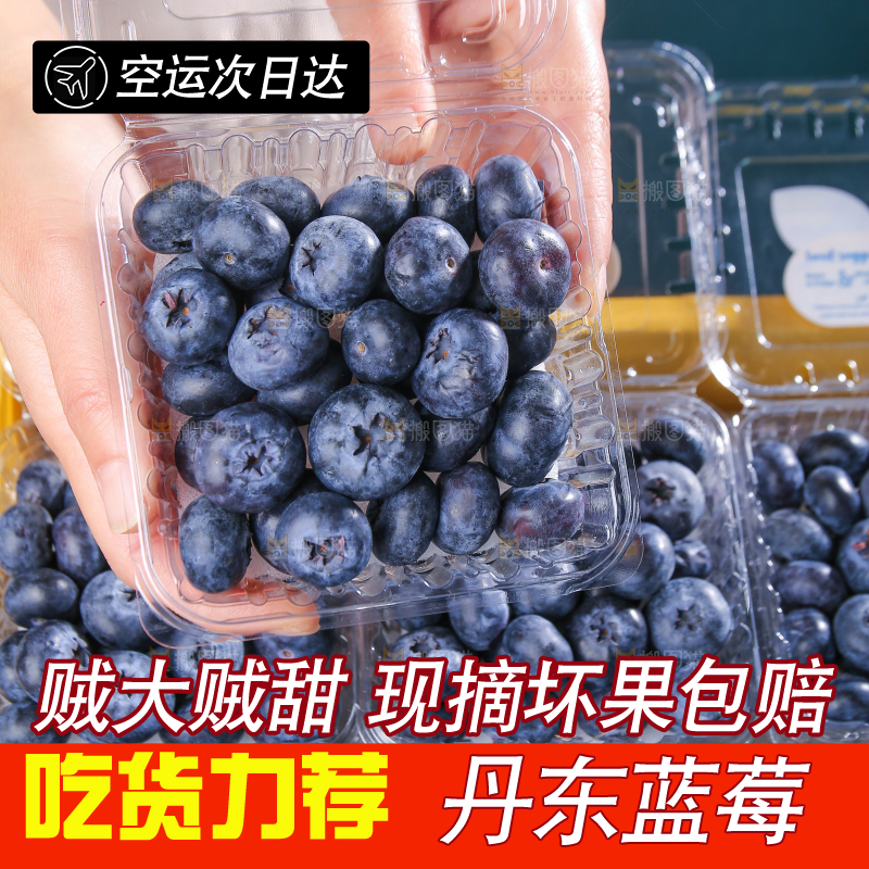 黑底上摆着的新鲜蓝莓