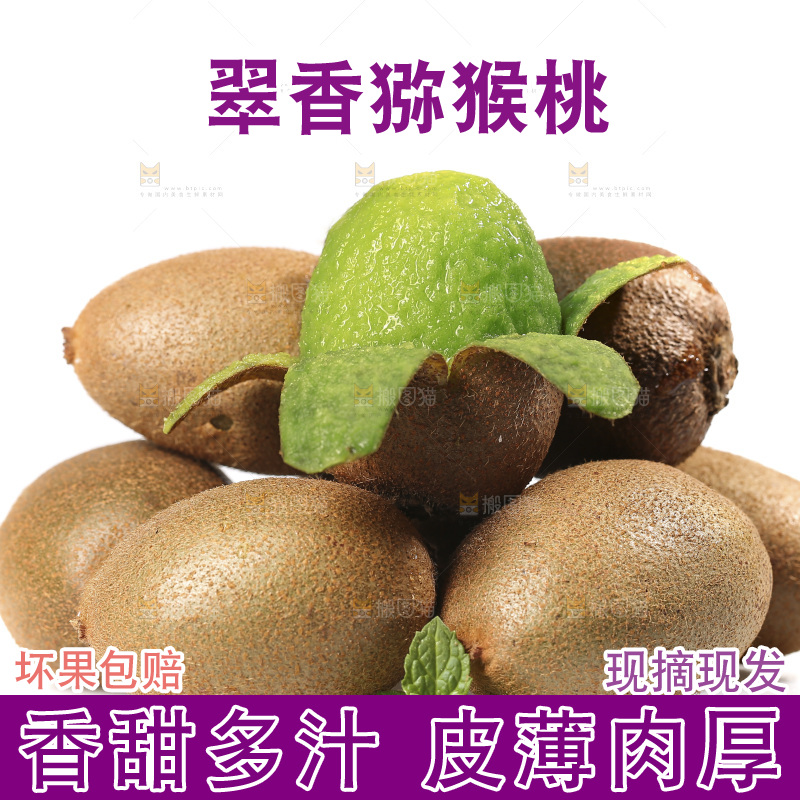 白底上放着翠香猕猴桃