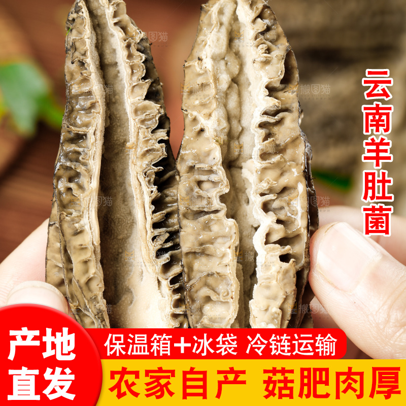 木底上的羊肚菇