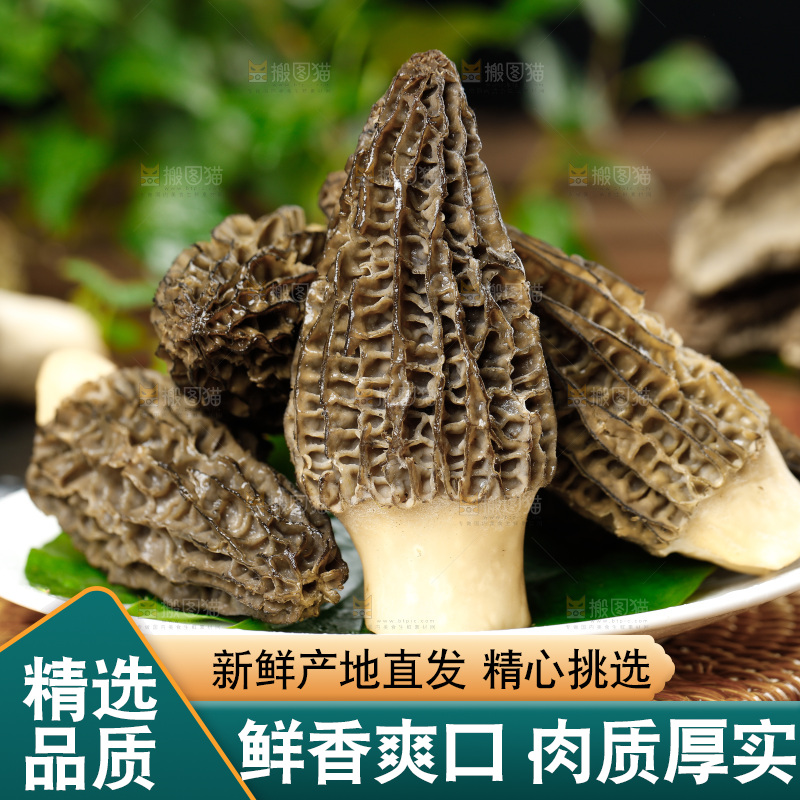 木底上的羊肚菇