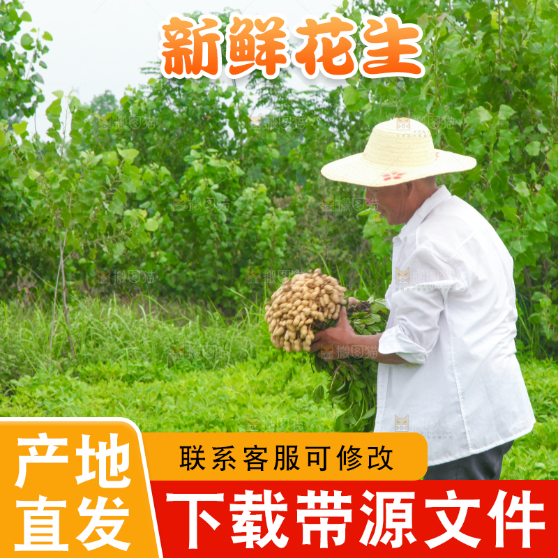 手里拿着现挖花生