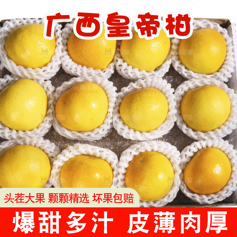 白底上的皇帝柑