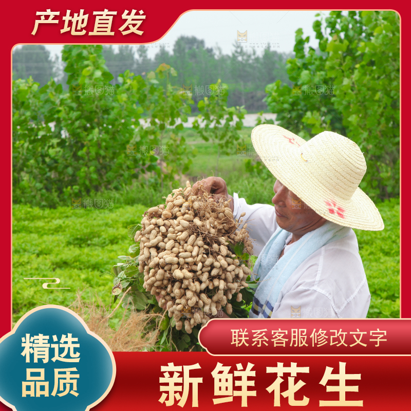 手里拿着现挖花生