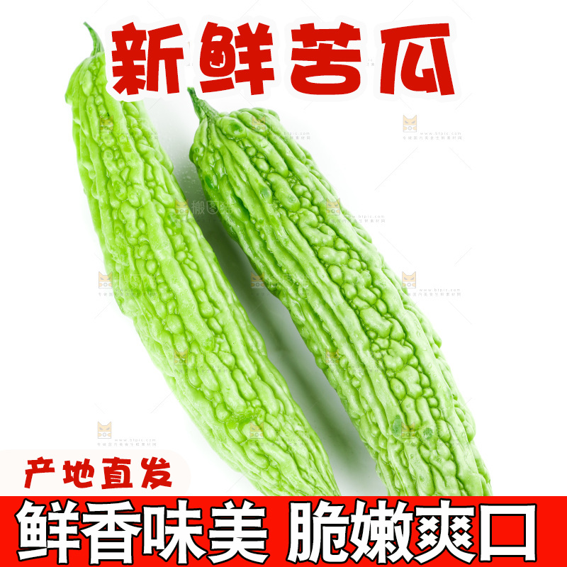 白底上的苦瓜