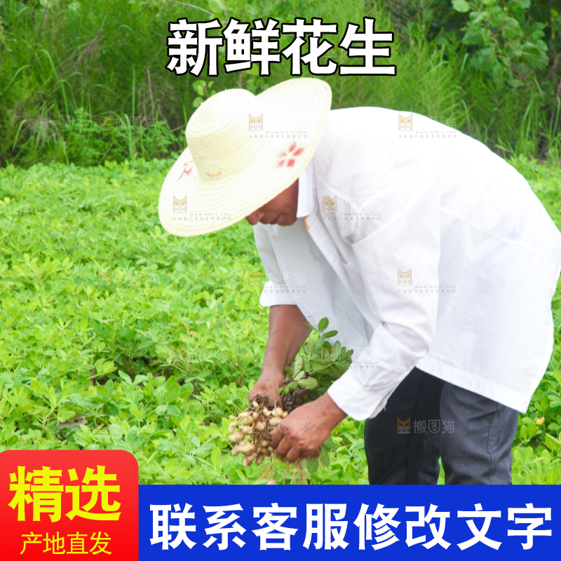 手里拿着现挖花生