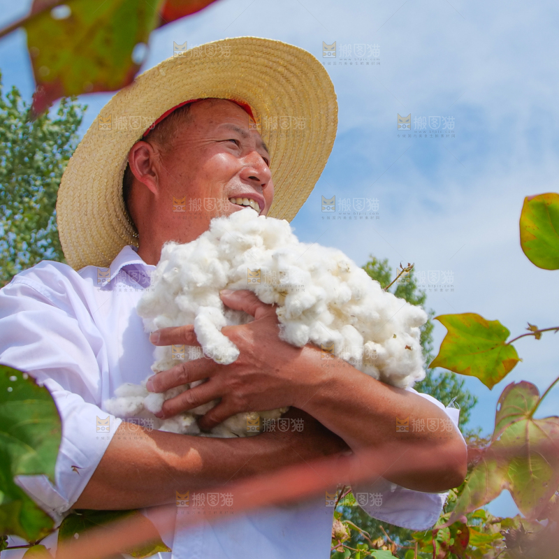 手里拿着棉花