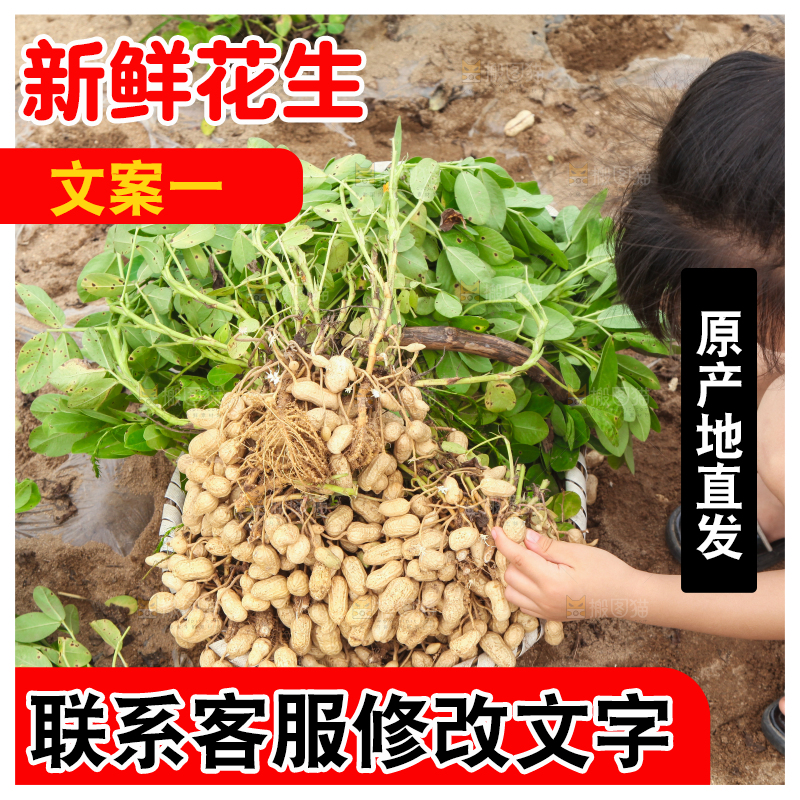 手里拿着现挖花生
