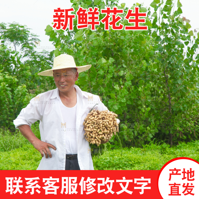 手里拿着现挖花生