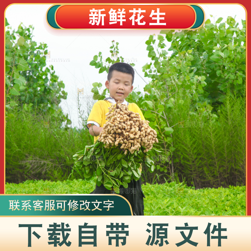 手里拿着现挖花生