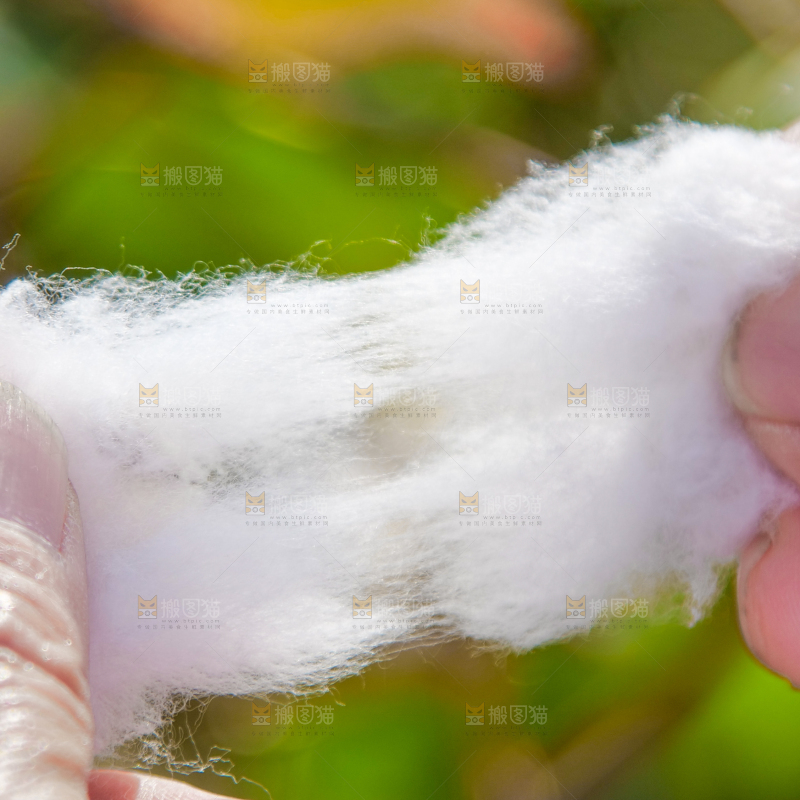 手里拿着棉花