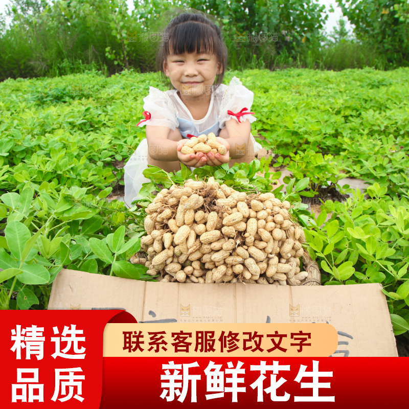 手里拿着现挖花生