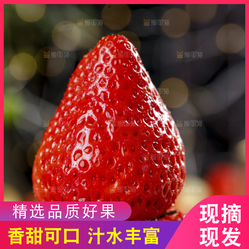 深底上的丹东草莓
