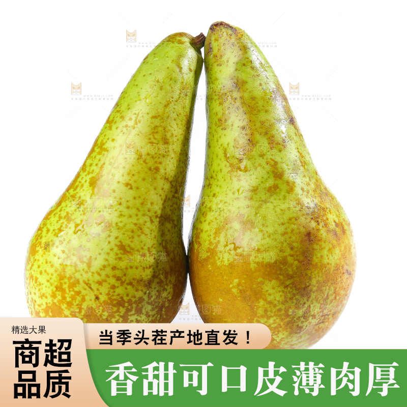 白底上的进口啤梨