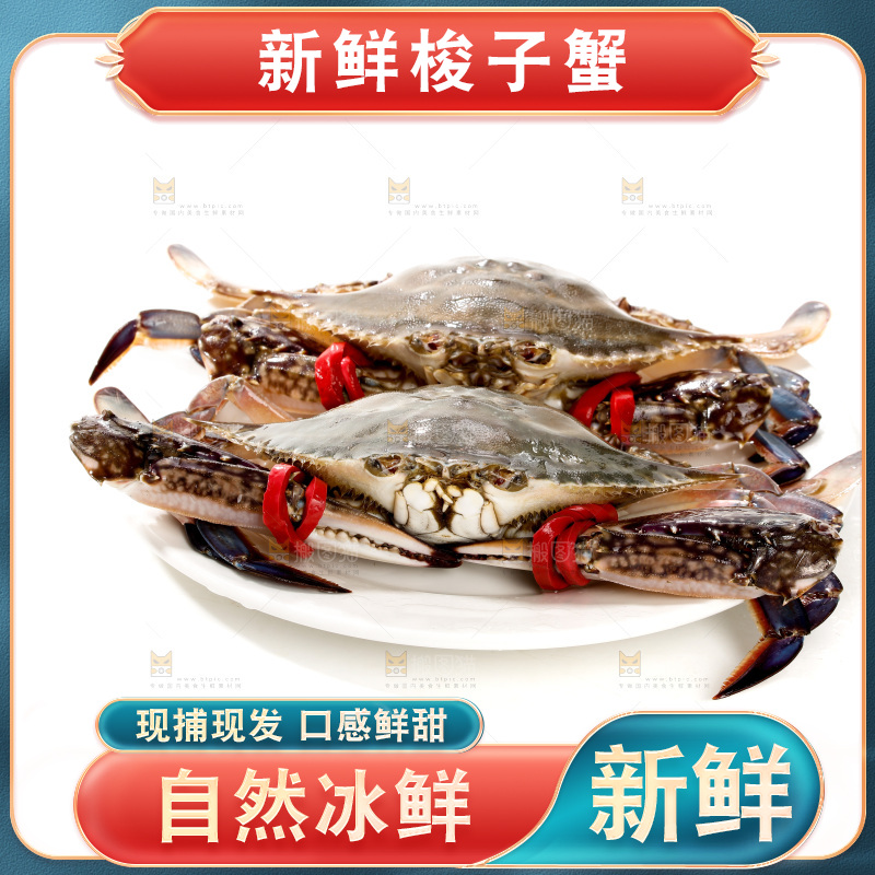 白底上的梭子蟹