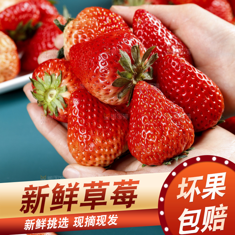 深底上的丹东草莓