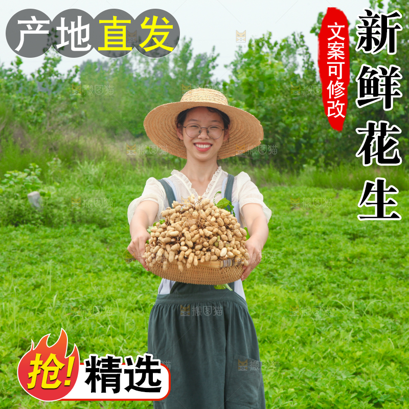 手里拿着现挖花生
