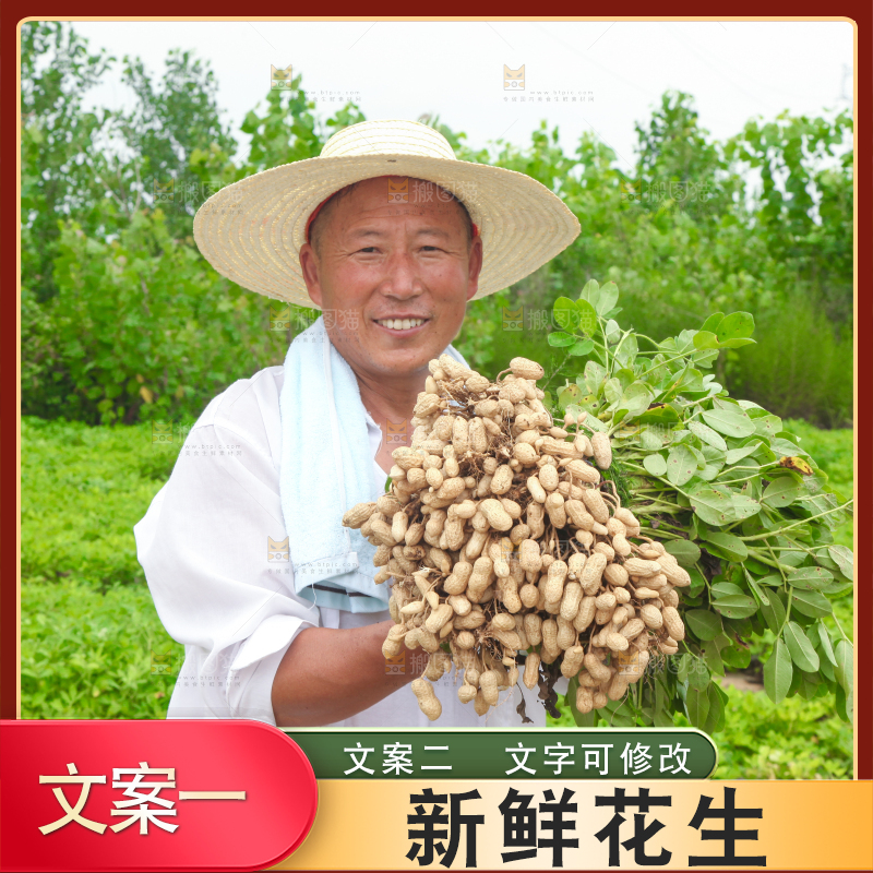 手里拿着现挖花生