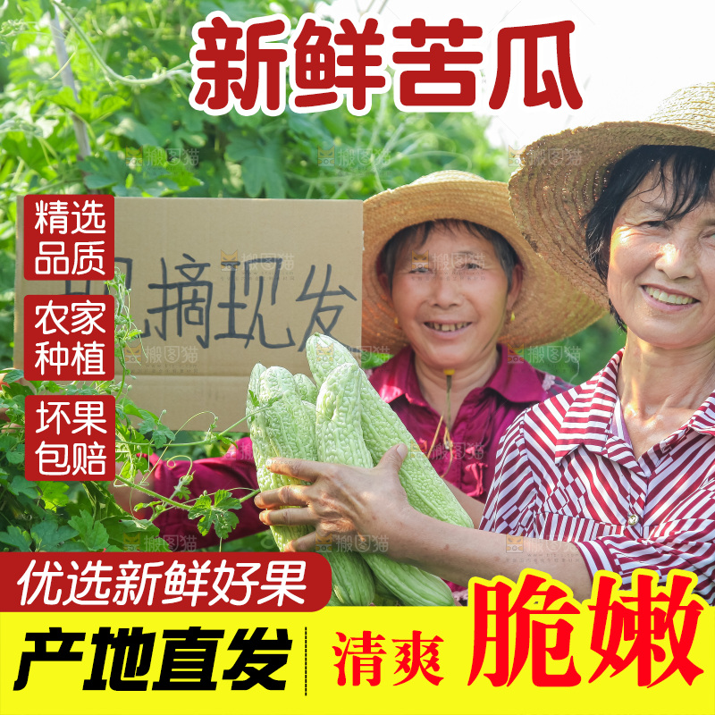 手里拿着新鲜苦瓜