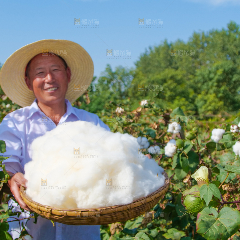 手里拿着棉花