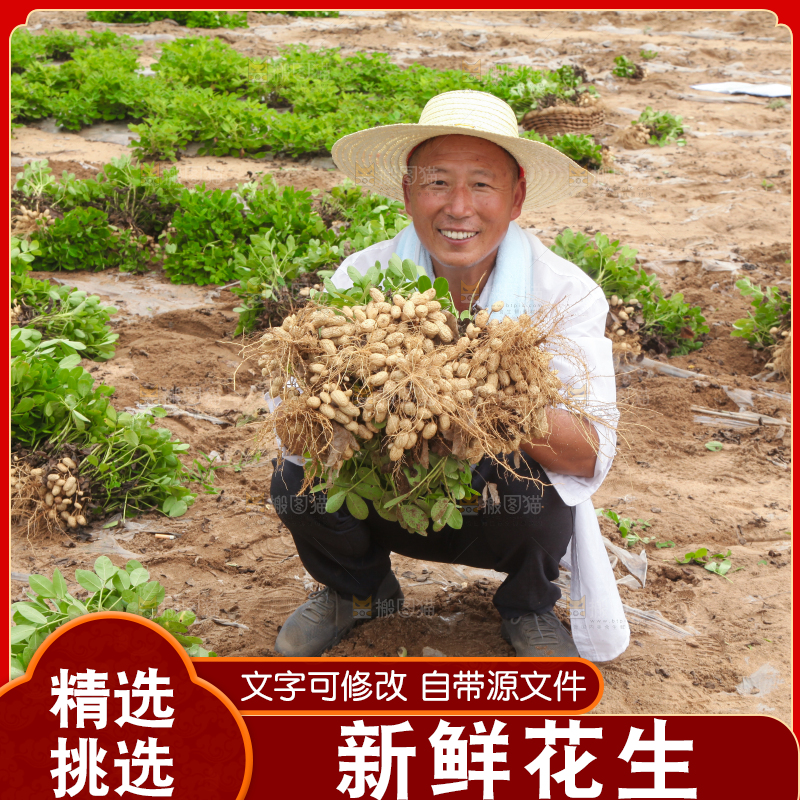 手里拿着现挖花生