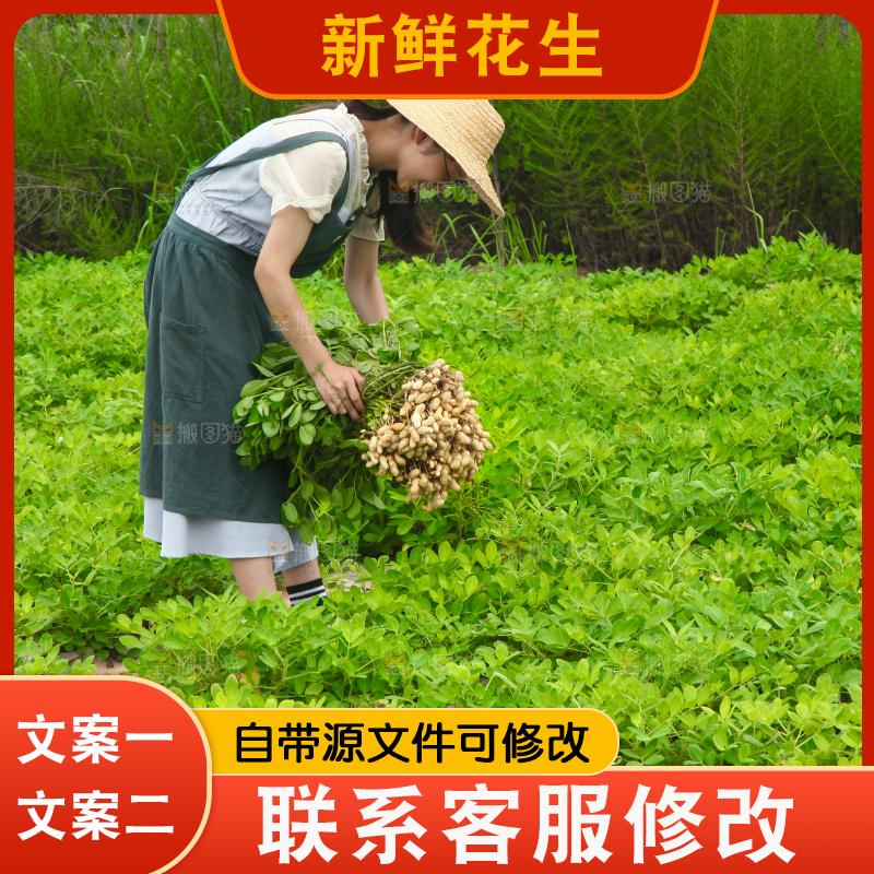 手里拿着现挖花生