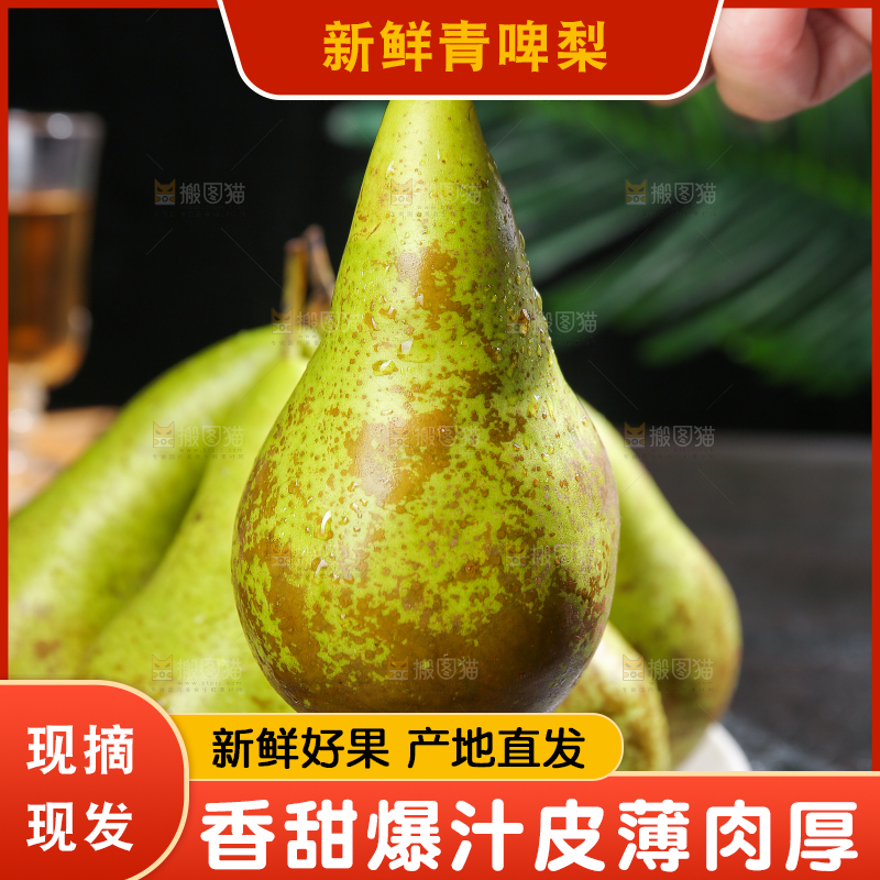 黑底上的进口啤梨
