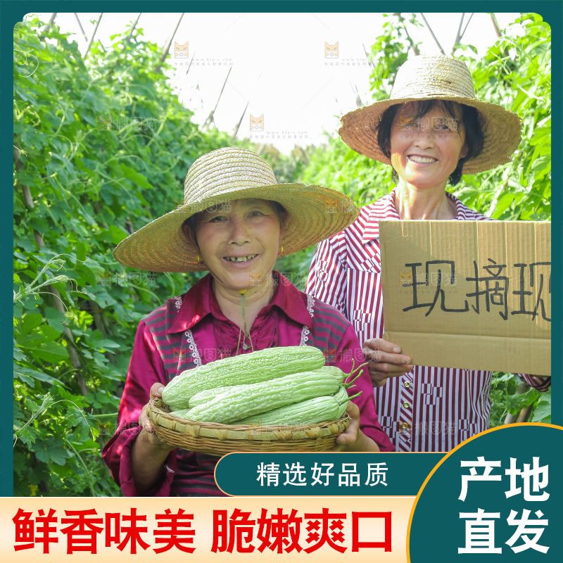 手里拿着新鲜苦瓜