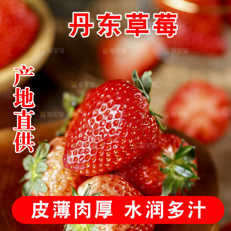深底上的丹东草莓