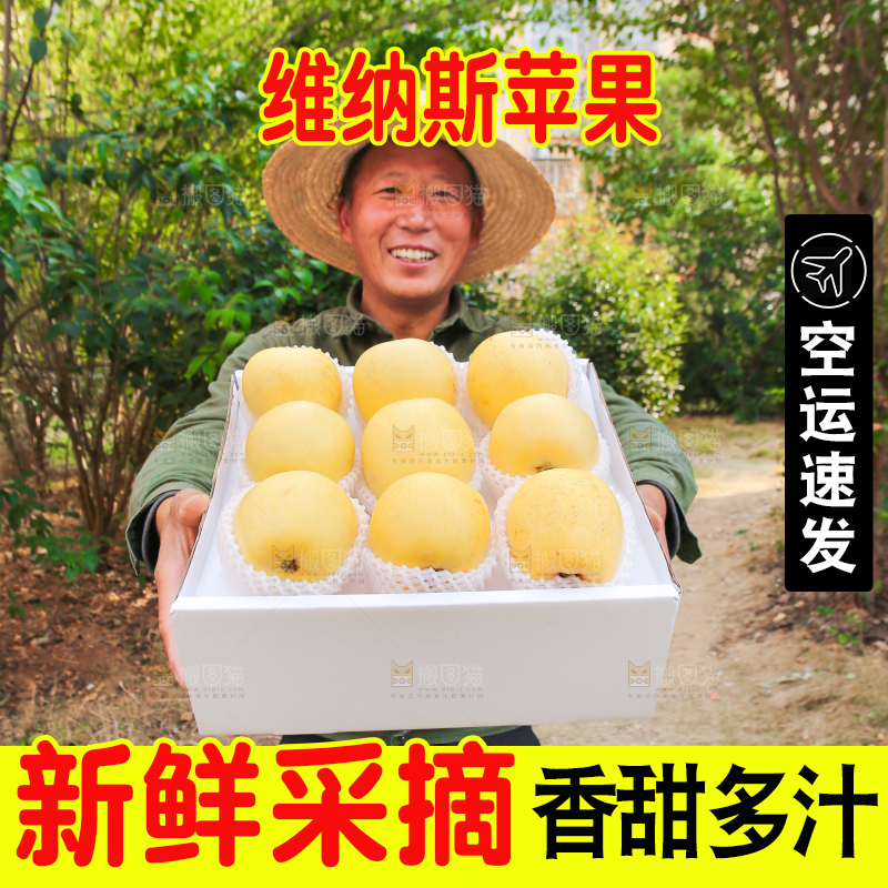 手里拿着维纳斯苹果