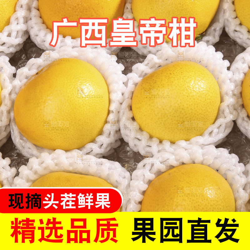白底上的皇帝柑