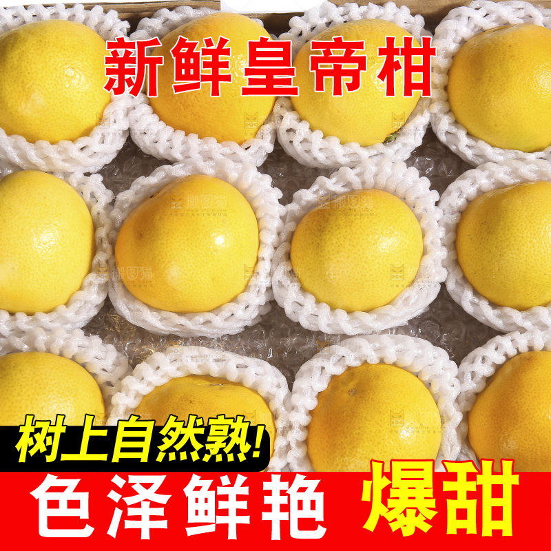 白底上的皇帝柑