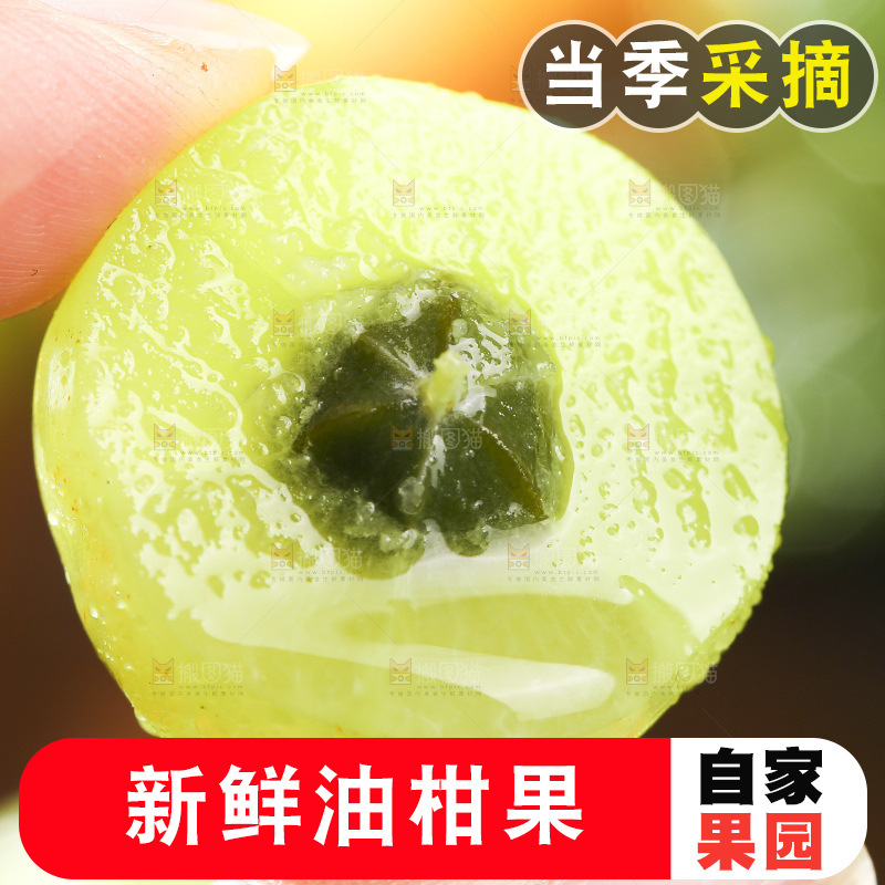 深底上的油甘果
