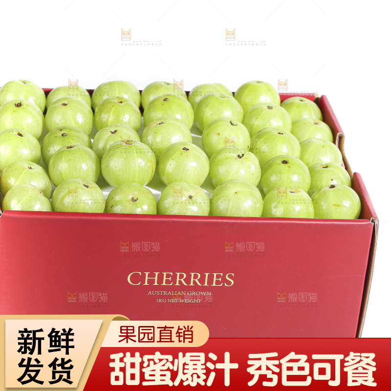 礼品盒里装着的油甘果