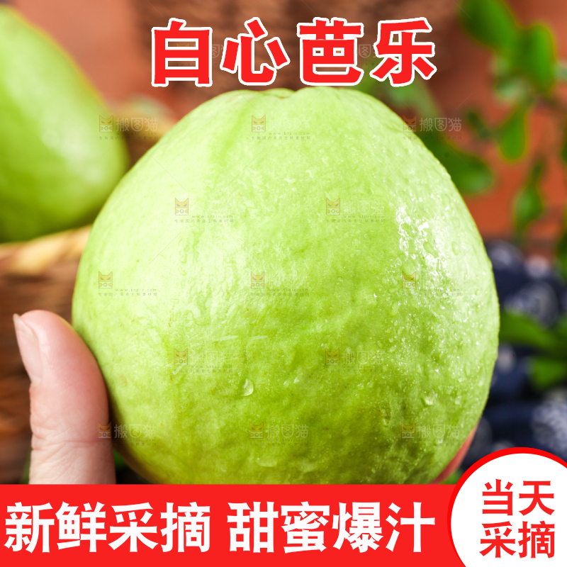 深底上的白心芭乐