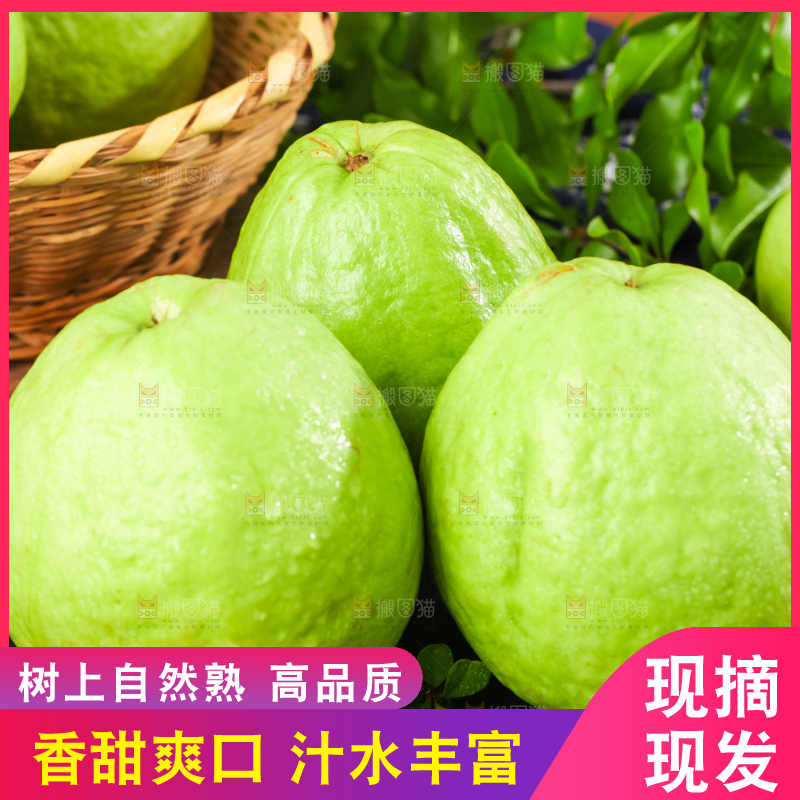 深底上的白心芭乐