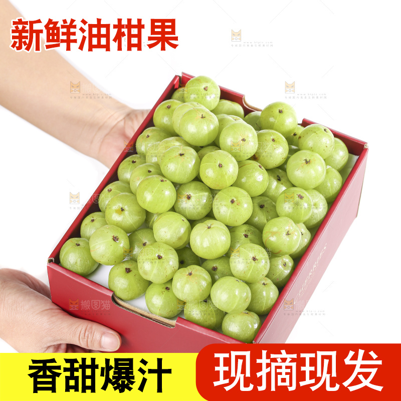 礼品盒里装着的油甘果