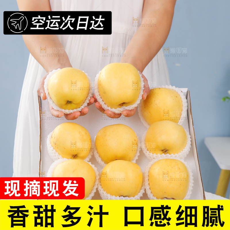 白底上的维纳斯苹果