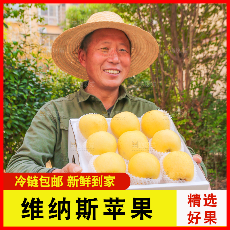 手里拿着维纳斯苹果