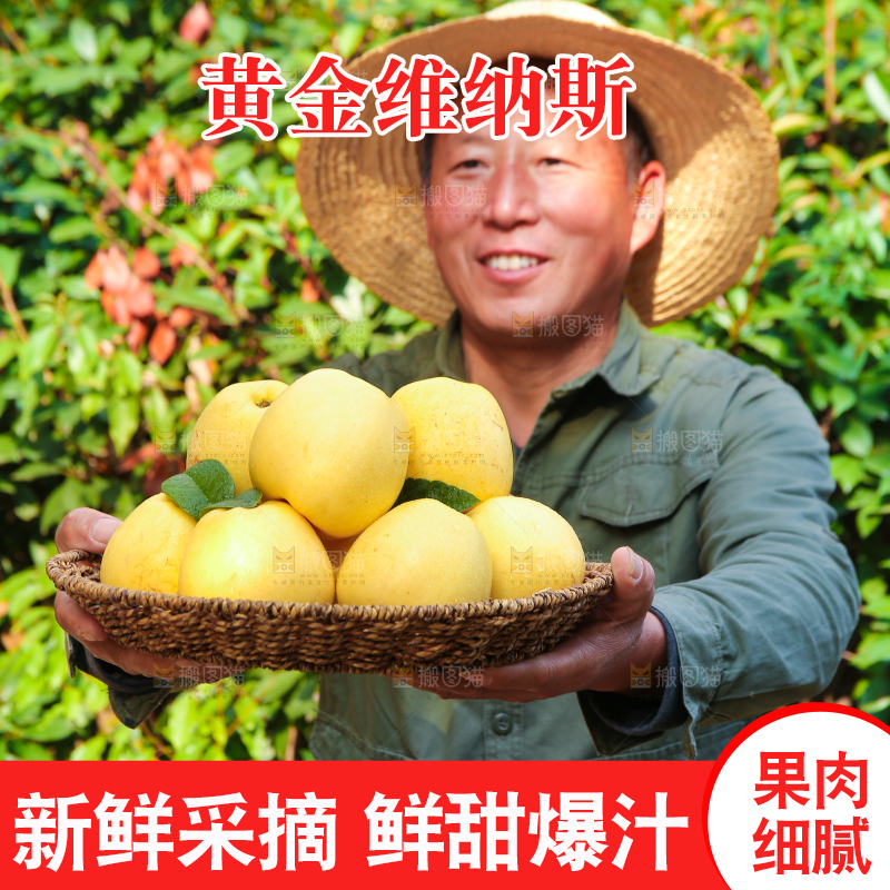手里拿着维纳斯苹果