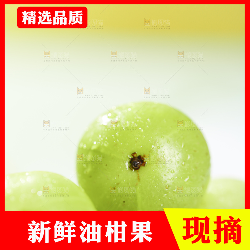 浅底上的油甘果