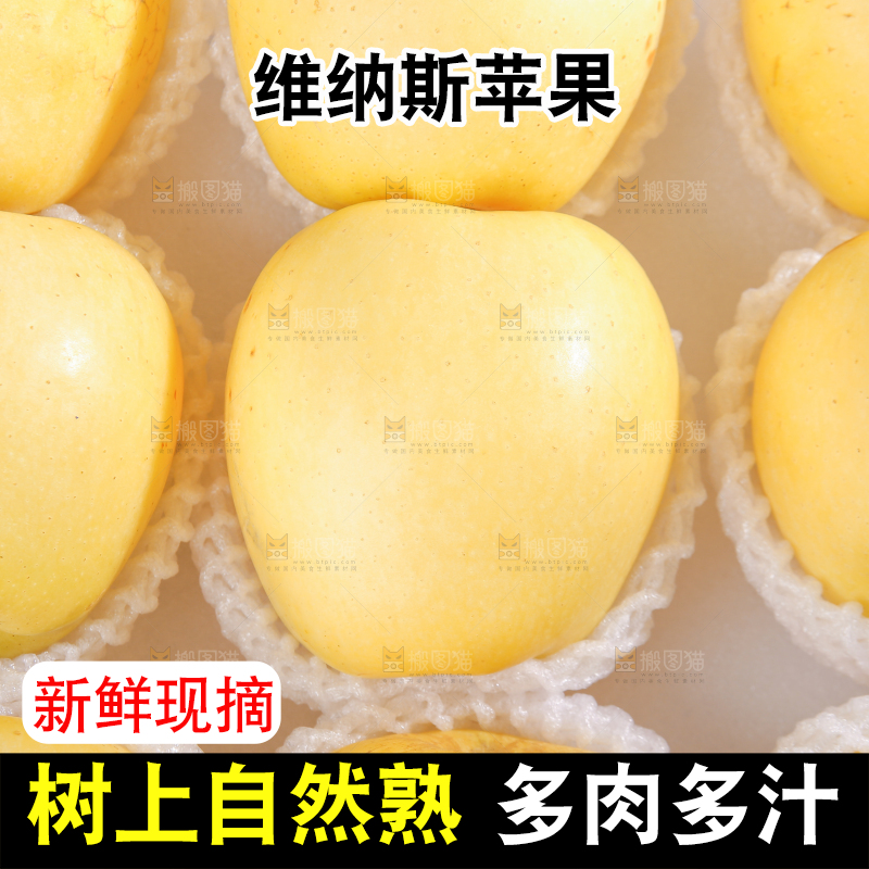 白底上的维纳斯苹果